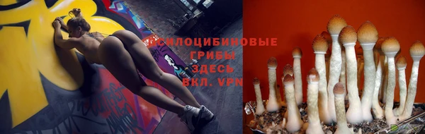 соль ск Наволоки