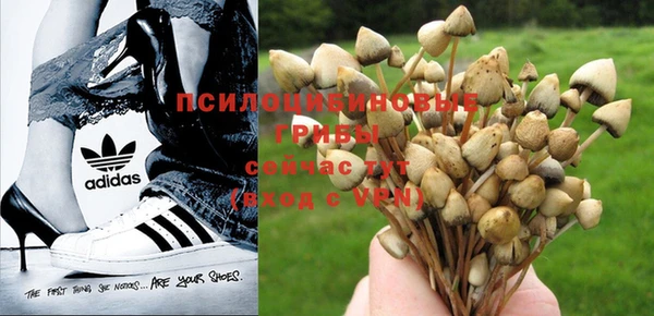 соль ск Наволоки