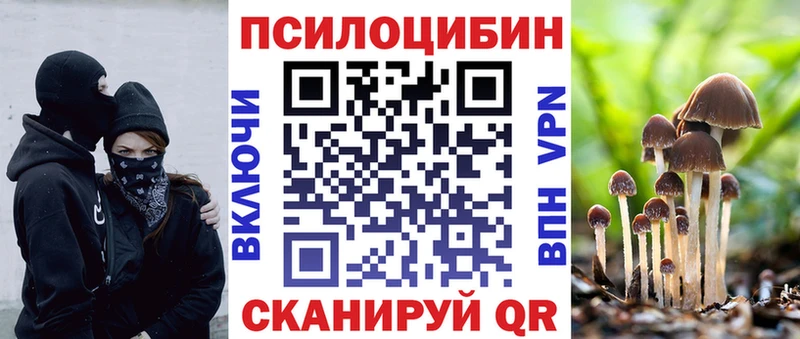 Галлюциногенные грибы Cubensis Карасук