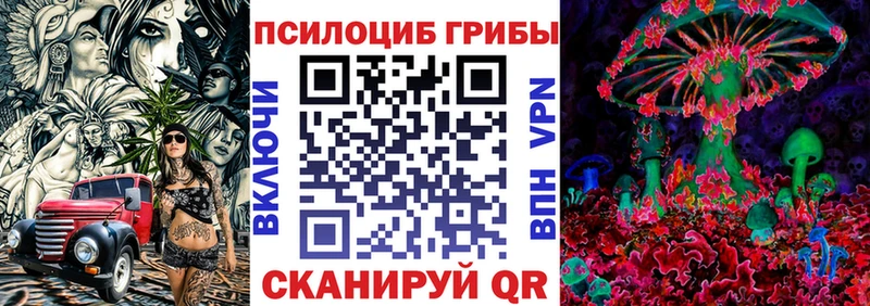 Купить где Карасук Псилоцибиновые грибы Magic Shrooms